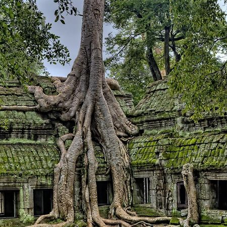 Golden Temple Residence Siem Reap Exteriér fotografie Banteay Srei