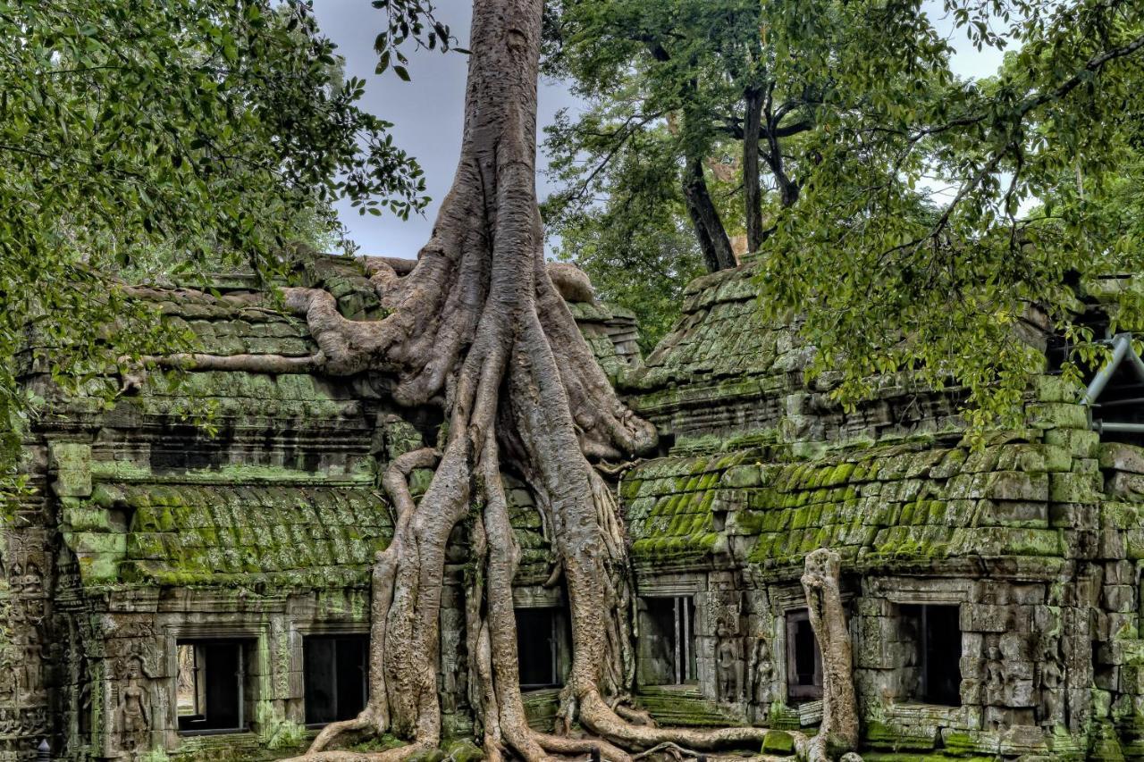 Golden Temple Residence Siem Reap Exteriér fotografie Banteay Srei